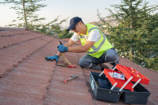 Best Metal Roofing Contractor  in Kings Grant, NC
