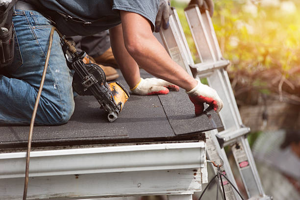 Roof Gutter Cleaning in Kings Grant, NC
